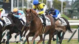 【阪神5R新馬戦結果】アルーリングビューが直線で抜け出し人気に応える