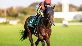 【阪神JF・馬体重】リバティアイランドは462kg(-6)、ラヴェルは448kg(-4)