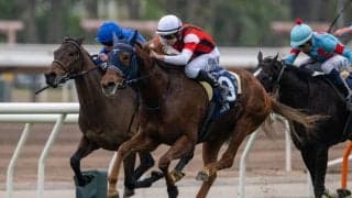 【香港ヴァーズ】ウインマリリンが直線一気で差し切る