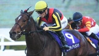 【JRA・WIN5】2番人気以内の勝利が続き的中1万7842票、配当は2万5950円に