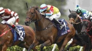 【香港スプリント結果】ウェリントンがG1・4勝目、日本馬最先着はメイケイエールの5着