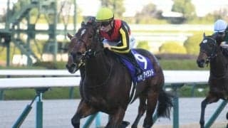 【阪神JF】リバティアイランドが2馬身半差の完勝で2歳女王に輝く