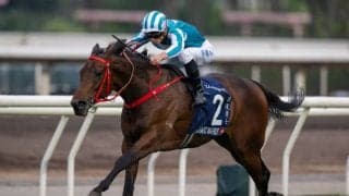 【香港カップ】香港のロマンチックウォリアーが圧勝 日本勢敗退
