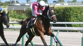 【ホープフルS】ファントムシーフ、ハーツコンチェルトらが登録