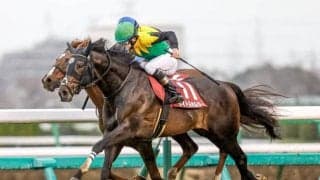 【有馬記念】タイトルホルダー、イクイノックスらが登録