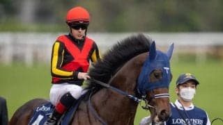 【香港マイル】手塚師「ここまで伸びないのは初めて」シュネルマイスターは9着敗退