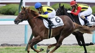 【新馬/阪神5R】イスラボニータ産駒 アルーリングビューが人気に応える