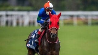 【香港カップ】吉田豊「ハミをとっていけるかと思いましたが…」パンサラッサは早々に後退