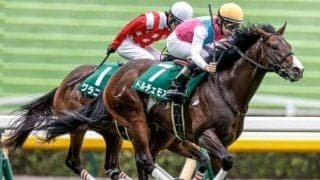 2歳マイル王決定戦の朝日杯FS/今週の競馬界の見どころ