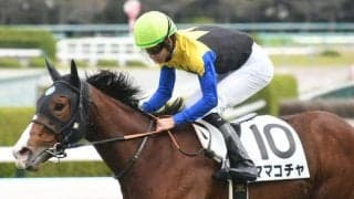 【ターコイズS見どころ】ソダシの全妹ママコチャが古馬重賞初挑戦