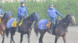 近親にロジユニヴァースやソングライン ホウオウカブキが戸崎圭太騎手でデビュー/関東馬メイクデビュー情報