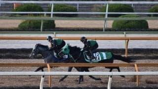 母、祖母ともに宮厩舎に在籍 所縁の血統マイネルラウレアが初陣迎える/関西馬メイクデビュー情報