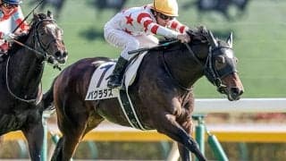 【AI予想・朝日杯FS】堅実な走りが高配当を呼ぶ!? 人工知能は重賞未勝利馬に白羽の矢