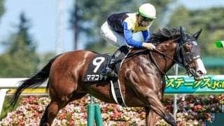 【ターコイズS想定騎手】ママコチャは松山弘平騎手、ミスニューヨークはM.デムーロ騎手