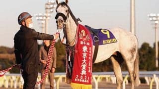 東京大賞典4連覇の王者、ダート重賞5勝馬、リアルスティールの姪などがJRA登録を抹消