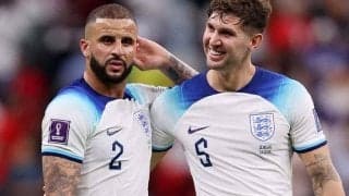 こんなことある？カタールW杯でイングランド代表と出会った野良猫がマンチェスターへ行くことに