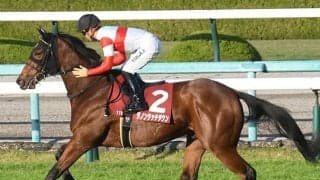 【朝日杯FS想定騎手】ダノンタッチダウンは川田将雅騎手、ドルチェモアは坂井瑠星騎手