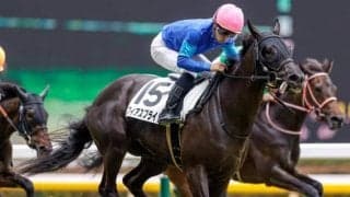 【ターコイズS展望】牝馬のハンデ戦、あの伏兵に期待したい