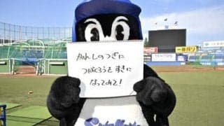 つば九郎の人生相談「彼氏にプロポーズしてもらう方法を教えてください」