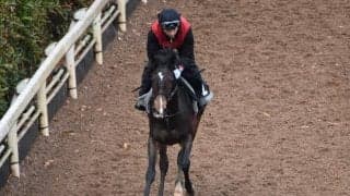 アルタビスタなど、先週のゲート試験/栗東トレセンニュース