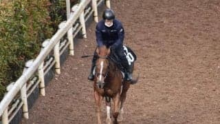 シンハリーズの2020など、先週の入厩情報/栗東トレセンニュース