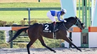 【全日本2歳優駿】ペリエールは8枠13番