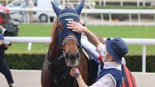 香港国際競走に出走した日本馬5頭が帰国 ウインマリリンやグローリーヴェイズなど