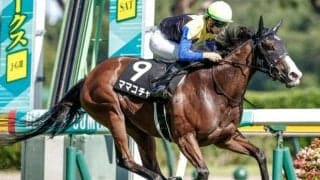 【ターコイズS予想オッズ】ソダシの全妹ママコチャが予想1番人気