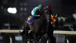 北の大地に悲願のタイトル 2013年覇者ハッピースプリント/全日本2歳優駿プレイバック