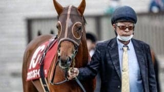 【朝日杯FS展望】2歳マイル王決定戦、前走1着馬が活躍する