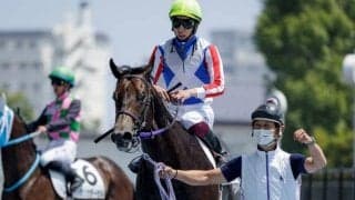 JRA、地方ともに強豪集結 ダート2歳王者に輝くのは/川崎・全日本2歳優駿注目馬