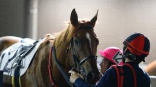 森泰斗騎手の負傷により全日本2歳優駿ヒーローコールの鞍上は笹川翼騎手に