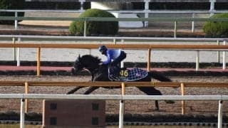 ヴェラアズール、有馬記念1週前追い切り速報/栗東トレセンニュース