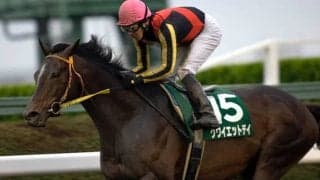 7歳から8歳にかけてダート重賞2勝を挙げた晩成の古豪が永眠