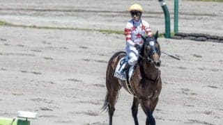 【朝日杯FS予想】AIの指名した伏兵はレースの傾向からも魅力十分!!