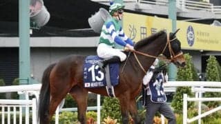 【次走】メイケイエールは高松宮記念に直行予定