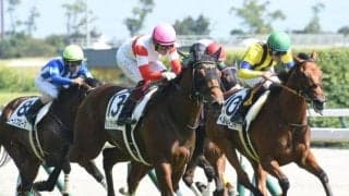 【朝日杯FS出走馬・騎手確定】ダノンタッチダウン＆川田将雅騎手、ドルチェモア＆坂井瑠星騎手など17頭