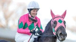 【ターコイズS出走馬・騎手確定】ママコチャ＆松山弘平騎手、ミスニューヨーク＆M.デムーロ騎手など16頭