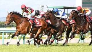 ケイデンスコールが競走馬登録抹消