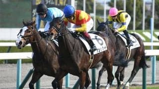 今月3日に勝ち上がりのアンリーロードはクイーンCで重賞初挑戦