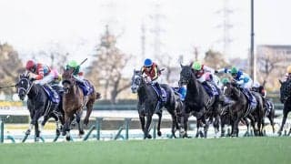 最高倍率は“91.1倍” 有馬記念指定席抽選発売の申込状況が発表