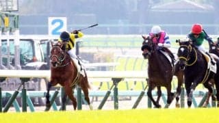 【新馬/中山5R】ハービンジャー産駒 ラテラルシンキングがデビューV