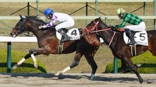 【新馬/阪神4R】コパノリッキー産駒 ペプチドソレイユが人気に応える