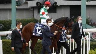 【JRA】現役引退のレイパパレに浅屈腱炎が判明 全治は9か月以上