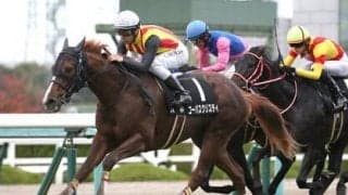 先週に続き朝日杯FSも荒れる!?　中内田厩舎の所属馬、未勝利・新馬勝ちからの参戦馬が波乱の使者となる