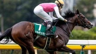 【朝日杯FS枠順確定】ダノンタッチダウンは6枠12番、ドルチェモアは1枠2番