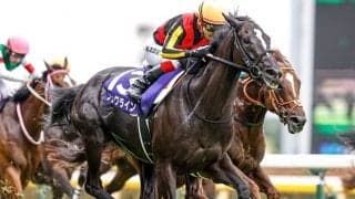 今年の安田記念覇者 来年2月の海外レースに予備登録