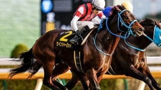 【ターコイズS予想】フルゲート16頭のハンデ重賞！ 波乱を呼ぶ前走勝利馬の敗戦