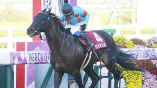 前年覇者やGI2着馬、短距離重賞4勝の古豪が参戦 阪神カップの出走想定馬