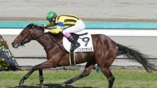 朝日杯FSも波乱の予感。穴党記者がピックアップした伏兵２頭は陣営も好感触を示す